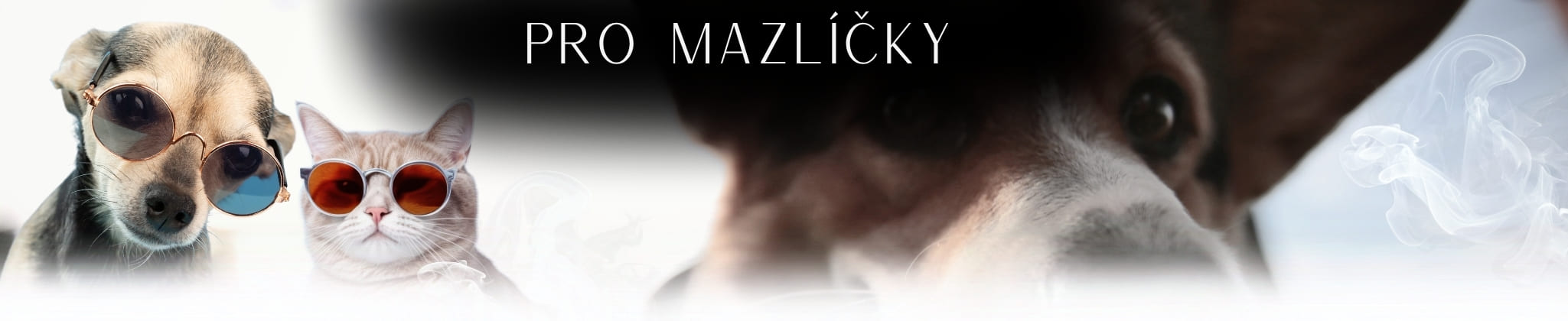 Darky-pro-zvirata-deskop